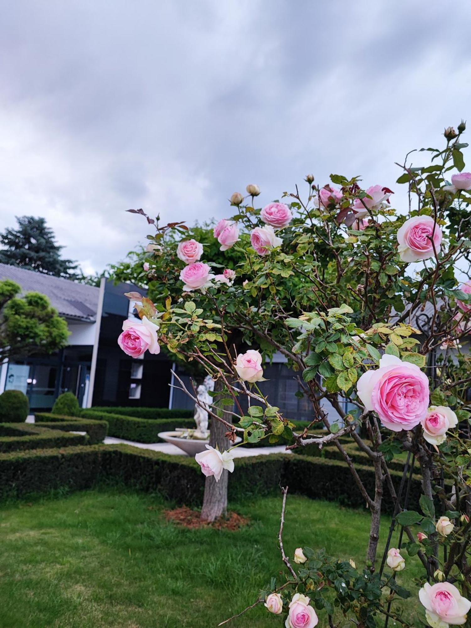 Kunst-villa Mit Privatpool Grazsued, Mit Gartenblick Ohne Pool