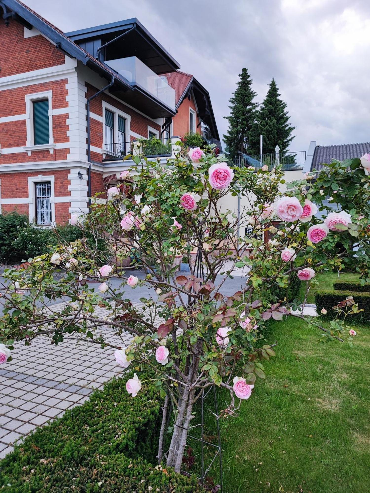 Apartment Kunst-villa Mit Privatpool Grazsued, Mit Gartenblick Ohne Pool Unterpremstätten