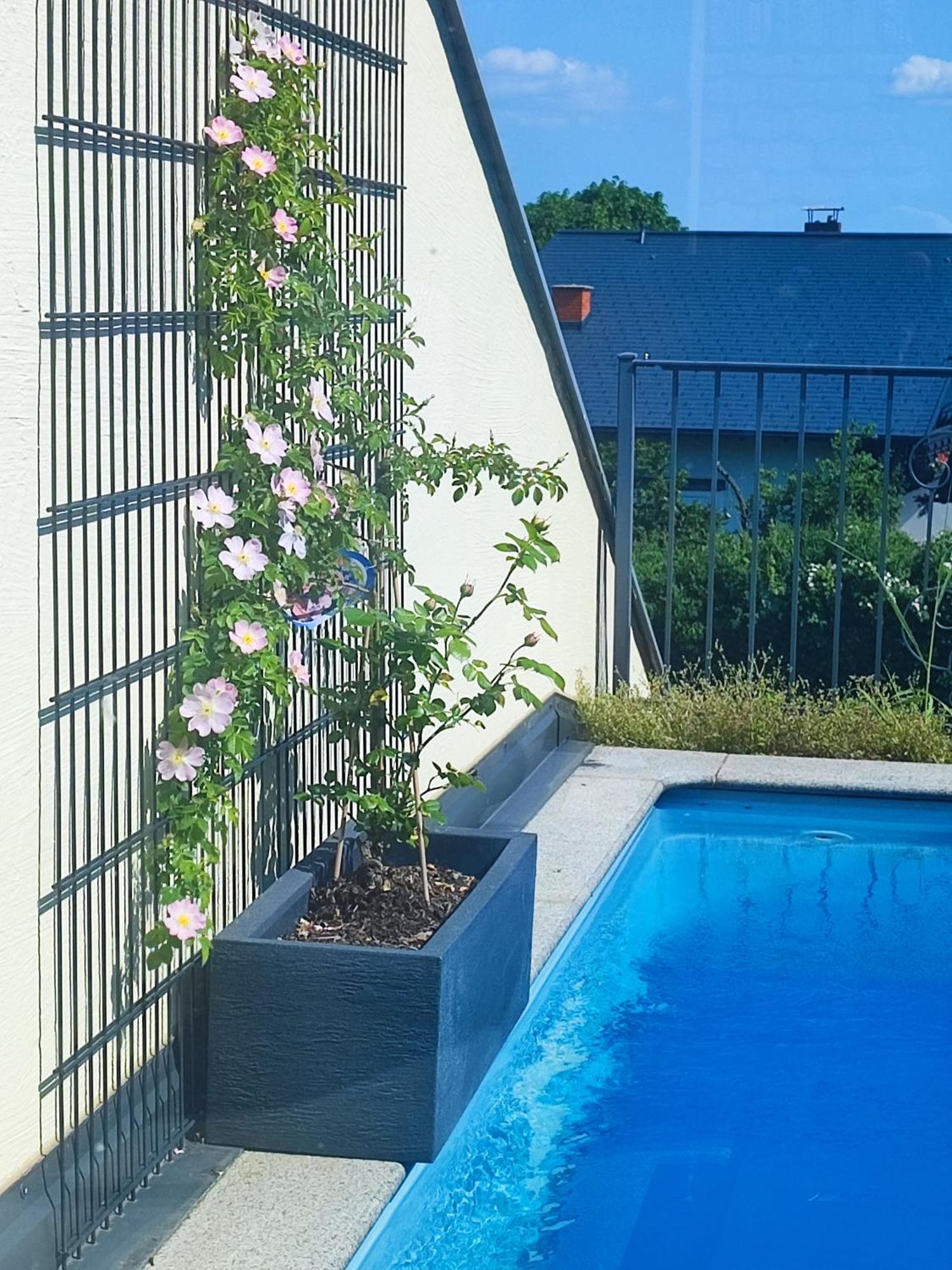 Kunst-villa Mit Privatpool Grazsued, Mit Gartenblick Ohne Pool